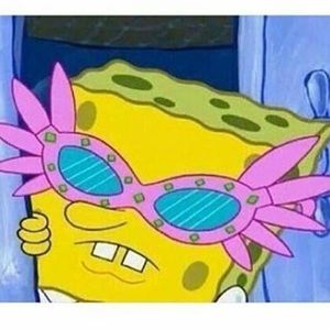 Meet your Posher, Malinee